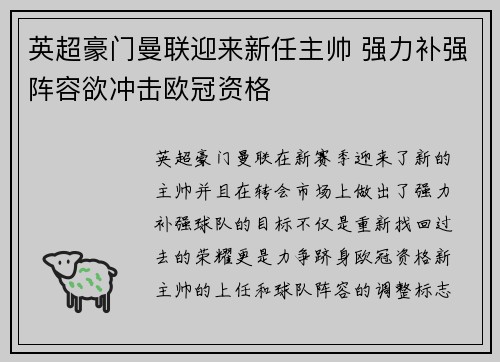 英超豪门曼联迎来新任主帅 强力补强阵容欲冲击欧冠资格